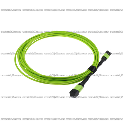 O cabo multimodo 12 da fibra de OM5 MPO retira o núcleo do cabo de remendo de 3.0mm LSZH MPO