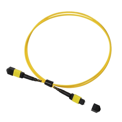 Pleno OFNP MPO Patch Cord 1m 3ft MTP-12 APC Feminino para MTP-12 APC Feminino Modo Único OS2