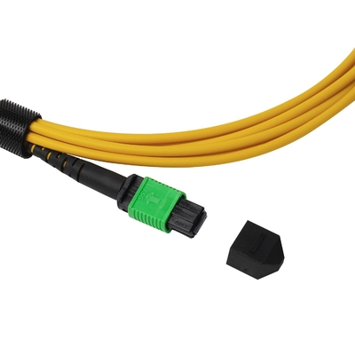 Pleno OFNP MPO Patch Cord 1m 3ft MTP-12 APC Feminino para MTP-12 APC Feminino Modo Único OS2