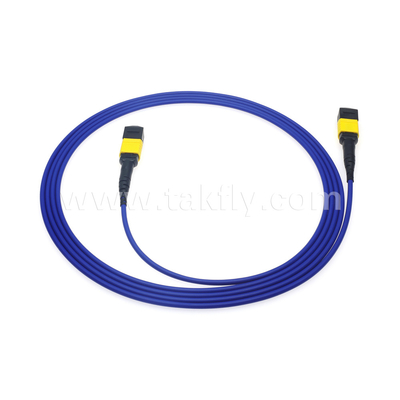 Centro de dados FTTX Cabo de fibra óptica MPO Patch Cord MTP Trunk Cable Blindado SM MM Jumper