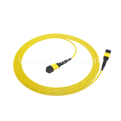 Centro de dados FTTX Cabo de fibra óptica MPO Patch Cord MTP Trunk Cable Blindado SM MM Jumper