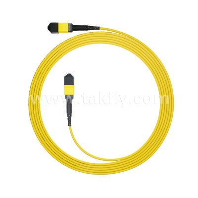 Centro de dados FTTX Cabo de fibra óptica MPO Patch Cord MTP Trunk Cable Blindado SM MM Jumper