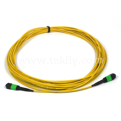 MTP-12 APC Fêmea para MTP-12 APC Fêmea Módulo único OS2 Plenum OFNP Tipo A MPO cordão de adesivo