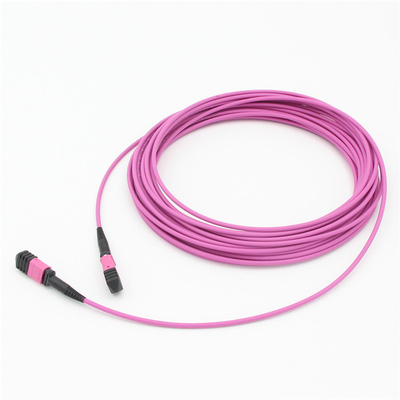 Elite Multimode OM4 50/125, Plenum OFNP Tipo B MPO cordão de remendo 1m 3ft MTP-12 PC Feminino para MTP-12 PC Feminino