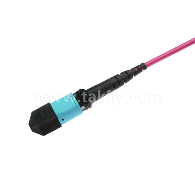 Elite Multimode OM4 50/125, Plenum OFNP Tipo B MPO cordão de remendo 3m 10ft MTP-12 PC Feminino para MTP-12 PC Feminino