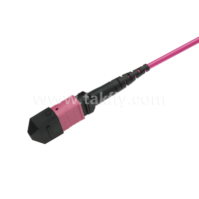 Elite Multimode OM4 50/125, Plenum OFNP Tipo B MPO Patch Cord 5m 16ft MTP-12 PC Feminino Para MTP-12 PC Feminino