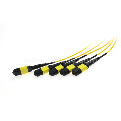 Fibra óptica MPO/MTP SM/MM PLC Splitter 1x4 para Data Center FTTX