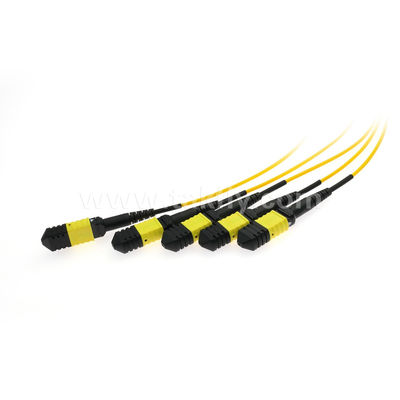 MPO/MTP Fanout Cable PLC Splitter 1x4 SM/MM Fibra Ótica para Data Center FTTX