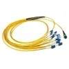 MTP-MPO Fiber Patch Cord 8-24 Core Single/Multimode OS1-OM4