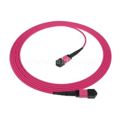 Patchcord MPO/MTP Monomodo Multimodo LSZH 8f/12f/24f Cabo de Fibra Óptica para Data Center FTTX