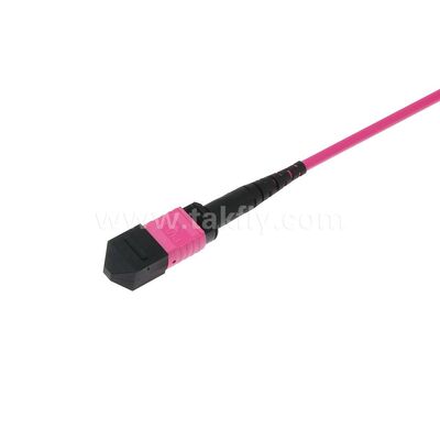 Patchcord MPO/MTP Monomodo Multimodo LSZH 8f/12f/24f Cabo de Fibra Óptica para Data Center FTTX