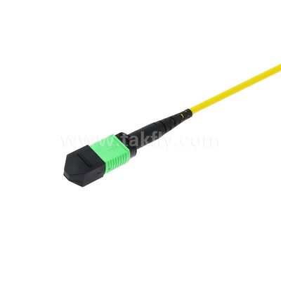 Patchcord MPO/MTP Monomodo Multimodo LSZH 8f/12f/24f Cabo de Fibra Óptica para Data Center FTTX