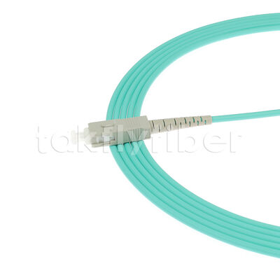 Fibra óptica patchcord LC/Sc/FC/St Single-mode/Multimode Upc/APC Simplex/Duplex Jumper para FTTH Data Center Telecom