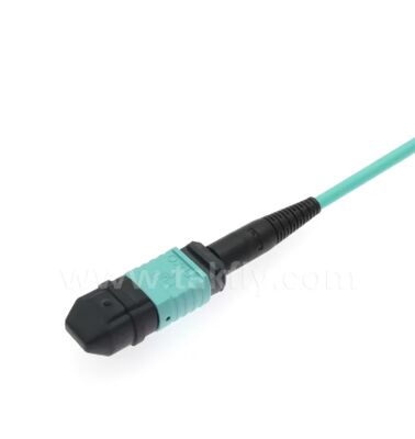 MPO/MTP-LC Breakout Patch Cord. Solução de cablagem de fibra óptica multi-núcleo de alta densidade.