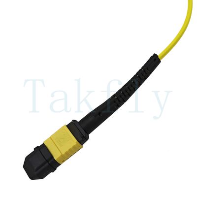 Patch cord MPO APC Fanout de 12 núcleos – macho para fêmea, baixa perda