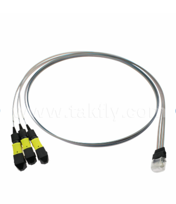 Conjunto de matriz de fibra MTP 12CH × 3 a 36 canais - Conectores 3 × 12CH MTP para 36CH V-Groove FAU, baixa perda de inserção, para transceptores ópticos 1.6T e óptica co-embalada (CPO)