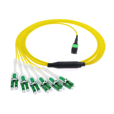 12F MPO -6x LC APC DX Uniboot SM Patchcord