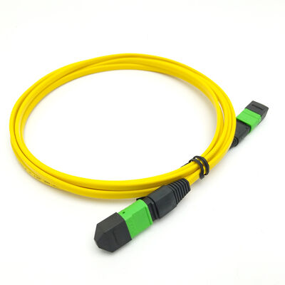 Patch Cord MPO/MTP de alto desempenho – 8/12/24 fibras, baixa perda, compatível com IEC e TIA