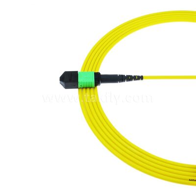 MPO MTP Patchcord SM Trunk Cable 12F Fibra Ótica para Data Center AI Telecom FTTX Cablagem