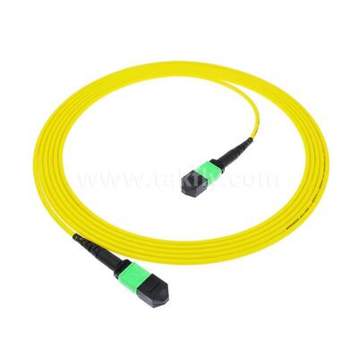 MPO MTP Patchcord SM Trunk Cable 12F Fibra Ótica para Data Center AI Telecom FTTX Cablagem