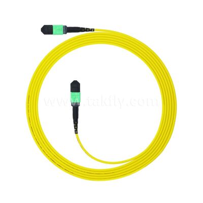 MPO MTP Patchcord SM Trunk Cable 12F Fibra Ótica para Data Center AI Telecom FTTX Cablagem