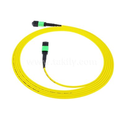 MPO MTP Patchcord SM Trunk Cable 12F Fibra Ótica para Data Center AI Telecom FTTX Cablagem