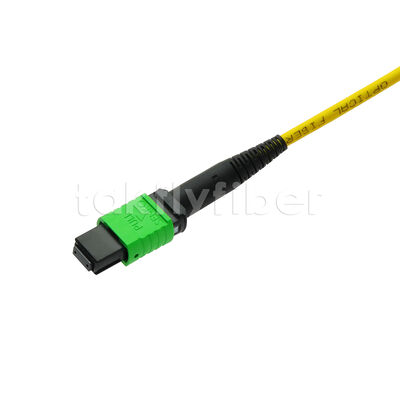 MPO MTP Patchcord SM Trunk Cable 12F Fibra Ótica para Data Center AI Telecom FTTX Cablagem