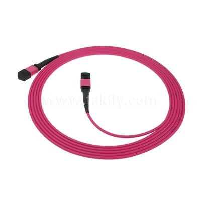 MPO MTP Patchcord Multimode OM4 Trunk Cable 24F Fibra Ótica para Data Center AI Telecom Cabling