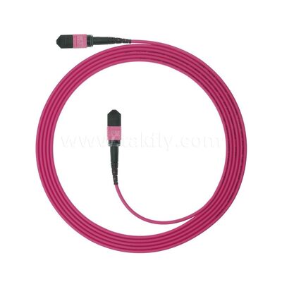 MPO MTP Patchcord Multimode OM4 Trunk Cable 24F Fibra Ótica para Data Center AI Telecom Cabling