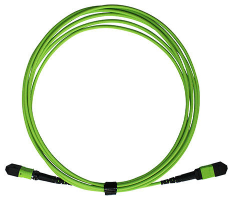 fibra ótica fêmea Patchcord de 400G MPO MTP milímetro 50/125 OM5 3.0mm LSZH