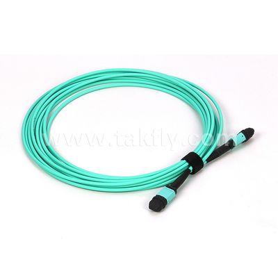 Cabo de fibra óptica multi-modo 12/24 núcleos Mpo Mtp Om3 para aplicações de data center