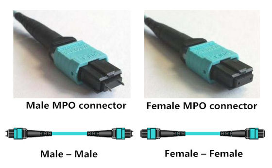 Cabo MPO da fuga de 8 núcleos 4 ao cabo de remendo frente e verso da fibra ótica do LC OM3 MPO MTP