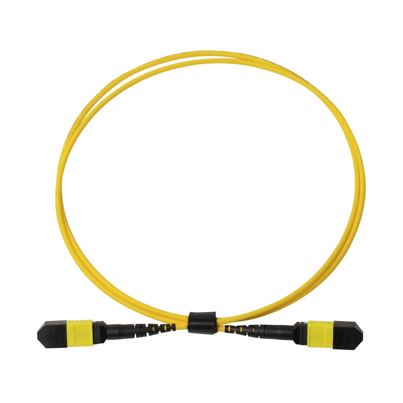 Pleno OFNP MPO Patch Cord 1m 3ft MTP-12 APC Feminino para MTP-12 APC Feminino Modo Único OS2