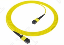 MTP-12 APC Feminino para MTP-12 APC Feminino SingleMode OS2 Plenum OFNP Tipo A MPO Patch Cord 5m 16ft