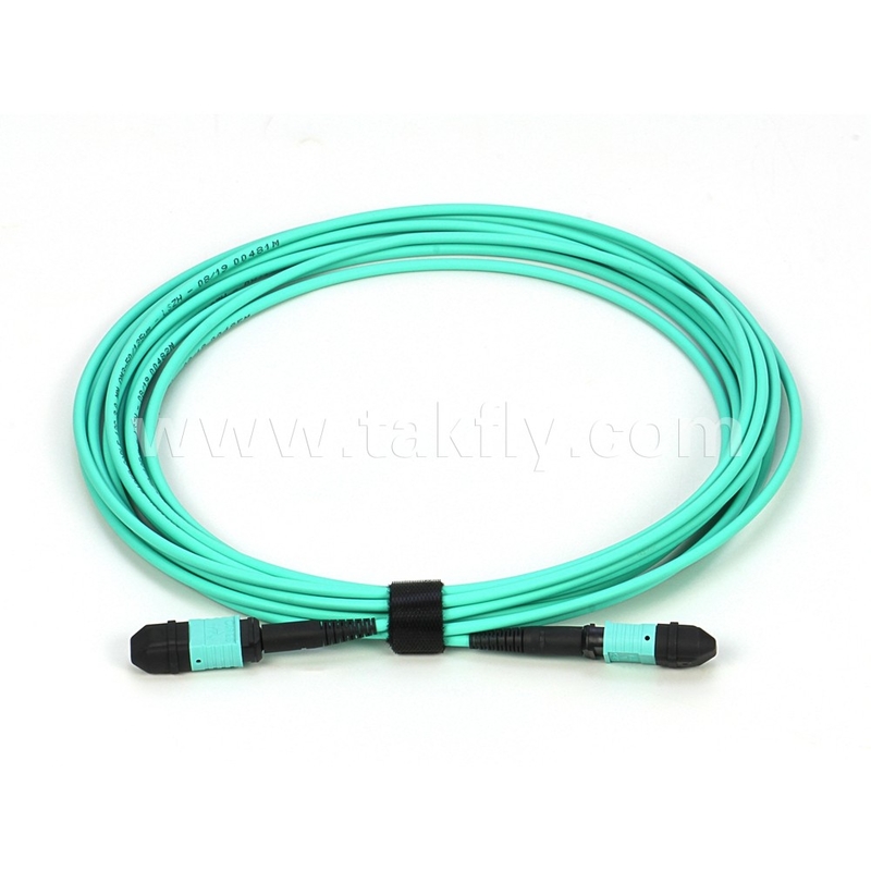 Elite Multimode OM3 50/125 Plenum OFNP Tipo B MPO Patch Cord 30m 100ft MTP-12 PC Feminino Para MTP-12 PC Feminino