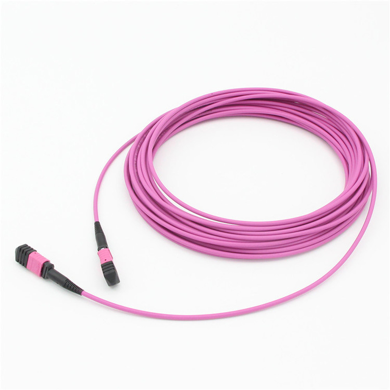 Elite Multimode OM4 50/125, Plenum OFNP Tipo B MPO cordão de remendo 1m 3ft MTP-12 PC Feminino para MTP-12 PC Feminino