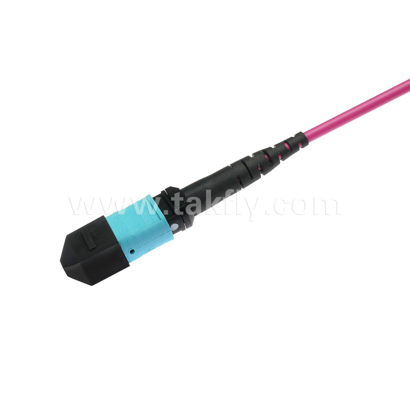 Elite Multimode OM4 50/125, Plenum OFNP Tipo B MPO cordão de remendo 3m 10ft MTP-12 PC Feminino para MTP-12 PC Feminino