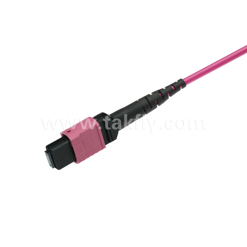 Elite Multimode OM4 50/125 Plenum OFNP Tipo B MPO Patch Cord 3.0mm Cable 10m 33ft MTP-12 PC Feminino para MTP-12 PC Feminino