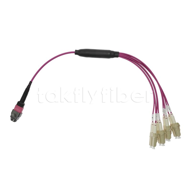 Low Loss CPR B2ca 40G 50/125 OM4 Multimode MTP MPO Breakout Fiber Patch Cable