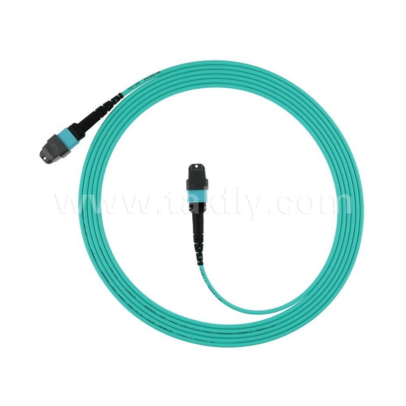 Patchcord de fibra óptica multimodo MPO MTP OM3 OM4 OM5 de alta densidade 8F 12F 16F 24F / Cabo de ligação de fibra óptica / Jumper óptico / Cabo tronco de fibra óptica para Data Center