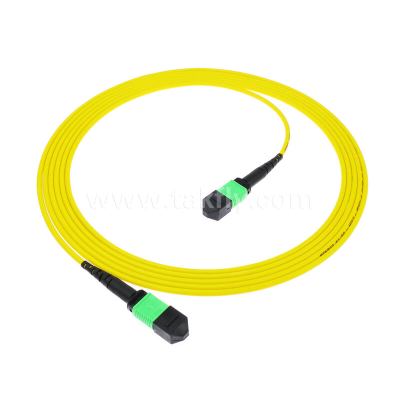 8F 12F 16F 24F MPO MTP Homem Mulher SM OS2 G652D G657A1 G657A2 Fibra Óptica Patchcord / Fibra Óptica Patch Cable / Fibra Óptica Breakout Cable / Fibra Óptica Trunk Cable para Data Center de Alta Densidade