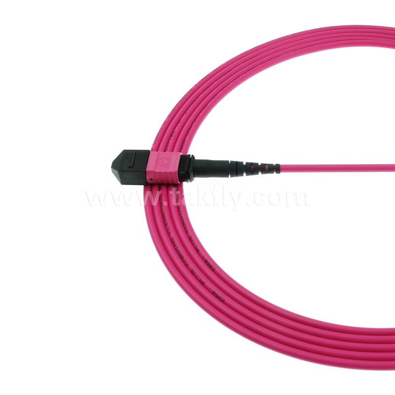 MPO MTP Patchcord Multimode OM4 Trunk Cable 24F Fibra Ótica para Data Center AI Telecom Cabling