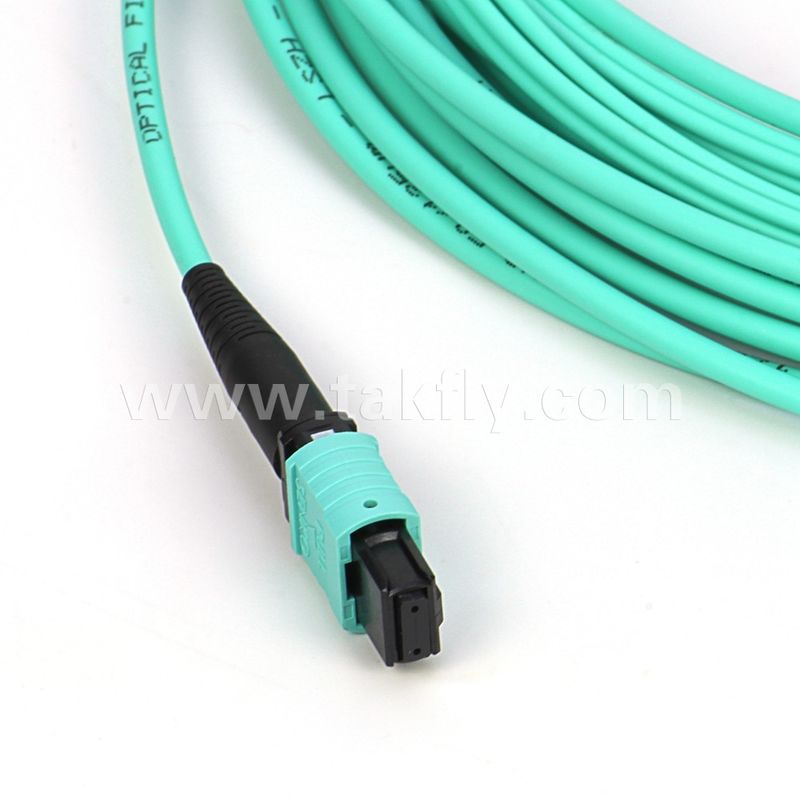 Cabo de fibra óptica multi-modo 12/24 núcleos Mpo Mtp Om3 para aplicações de data center