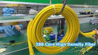 Cabo de conexão 288F MPO/MTP